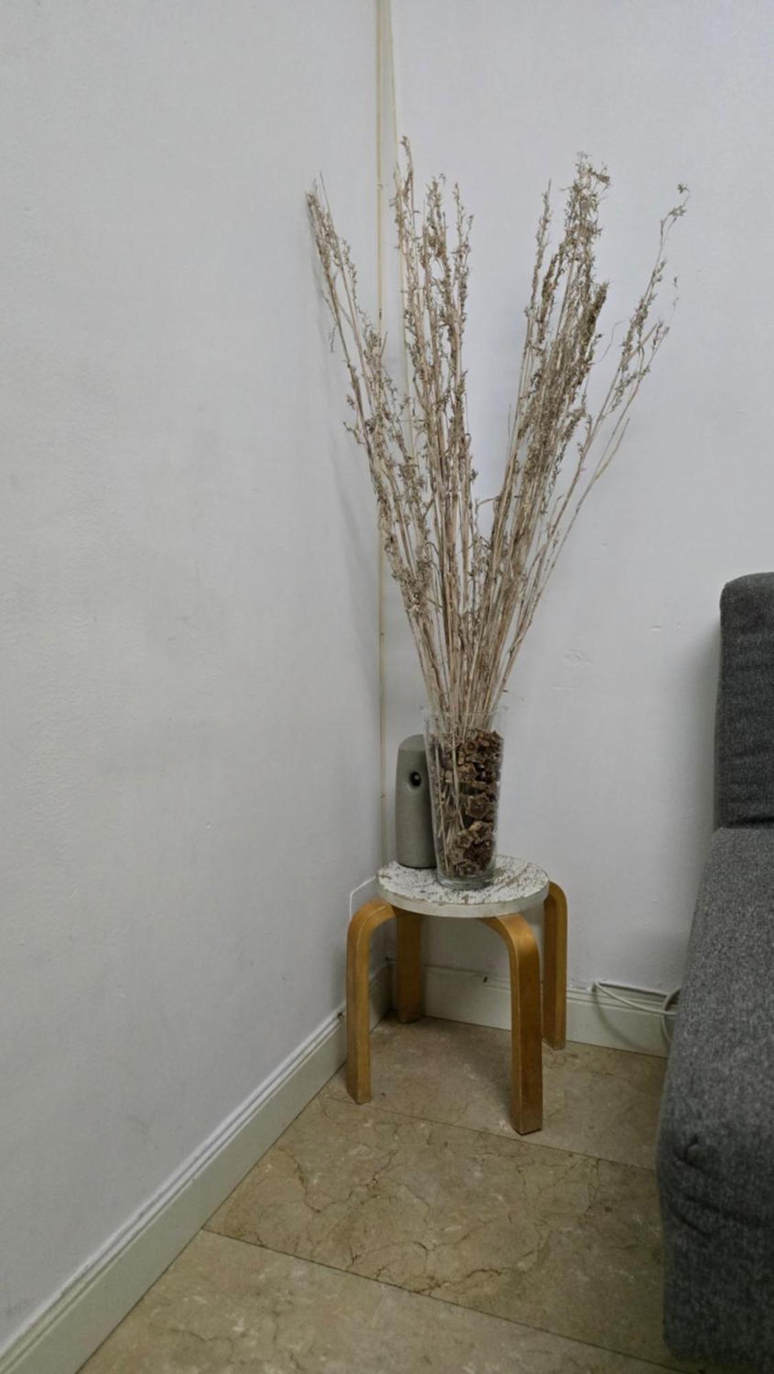 Mini Apartamento Lovely Chueca Madrid Exterior photo